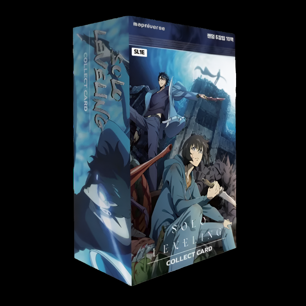 SOLO LEVELING DISPLAY [KOR] CardBroz.de