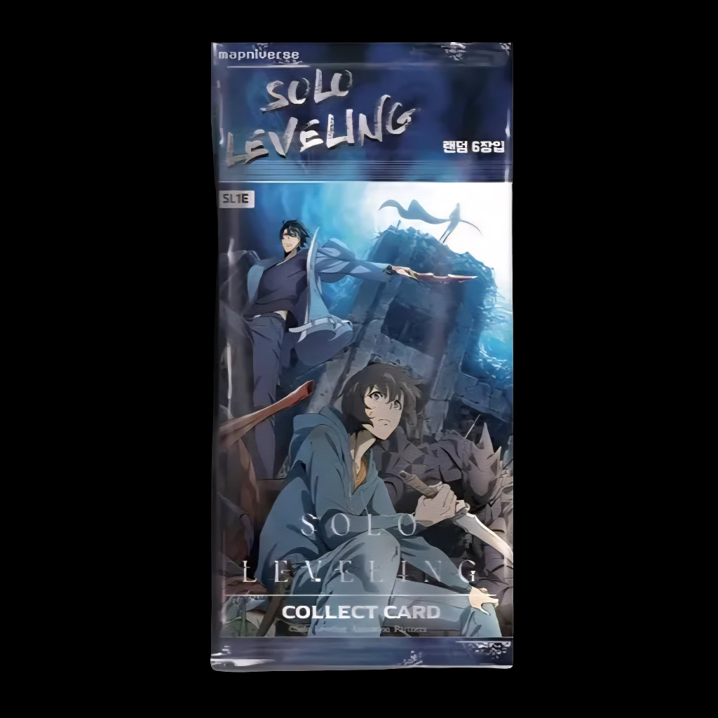 SOLO LEVELING DISPLAY [KOR] CardBroz.de