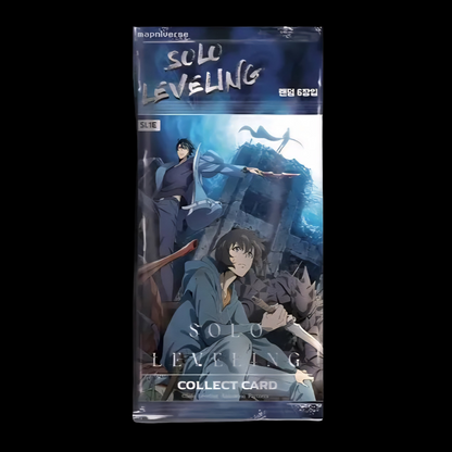 SOLO LEVELING DISPLAY [KOR] CardBroz.de